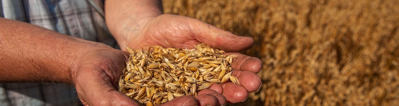 Hand Picked Farmers 1